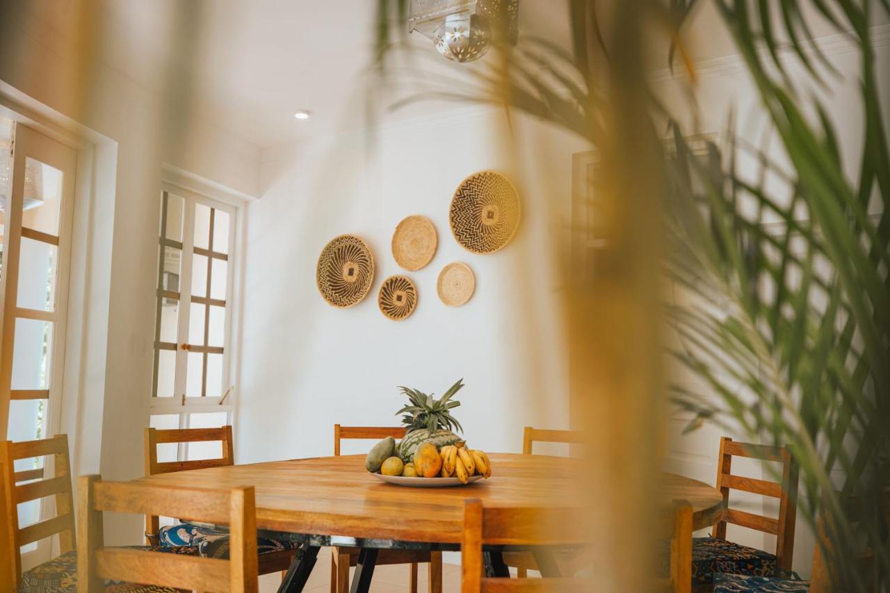 Passiflora Zanzibar فيلة *