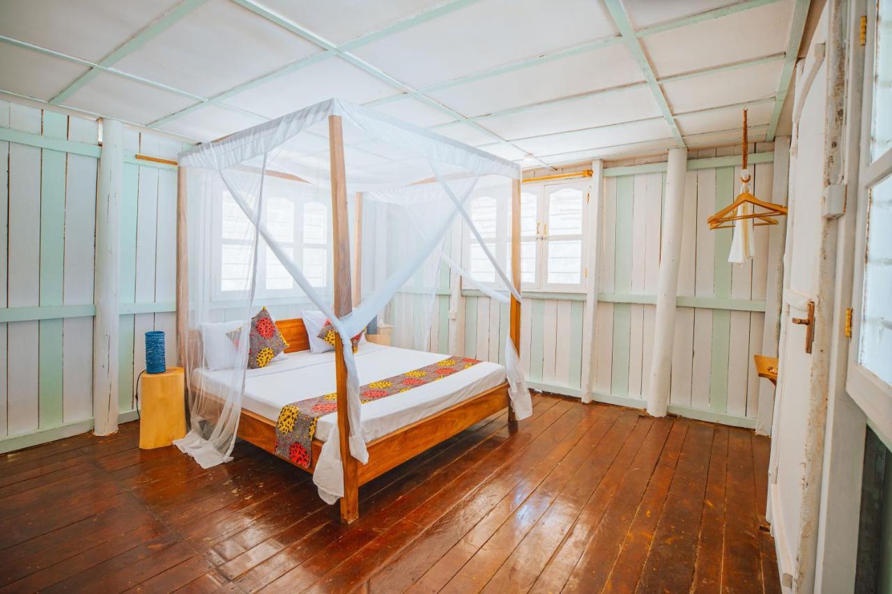 Passiflora Zanzibar فيلة *