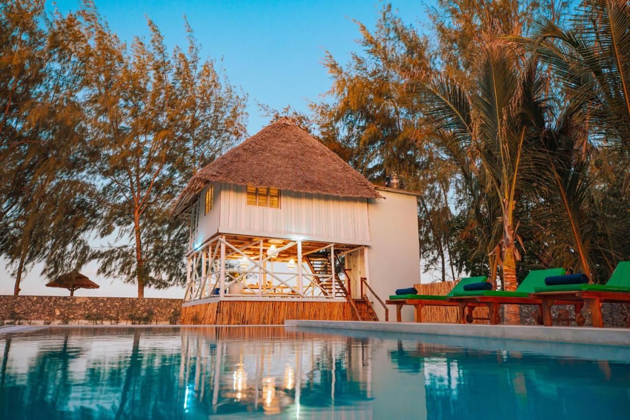 Passiflora Zanzibar فيلة جامبياني